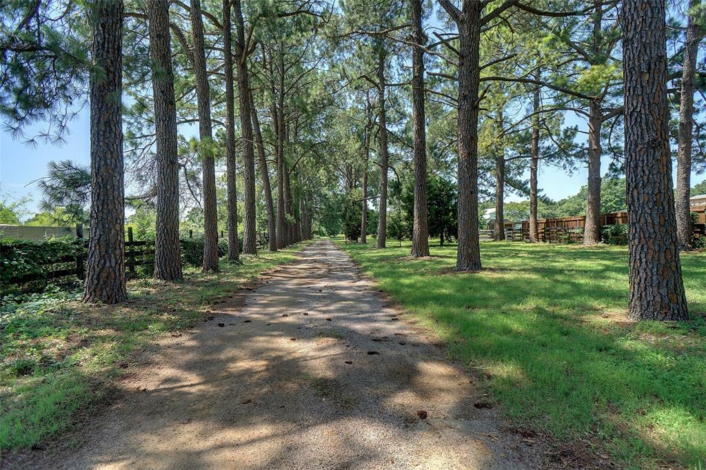 Property Photo:  2829 Sagebrush Drive  TX 75022 