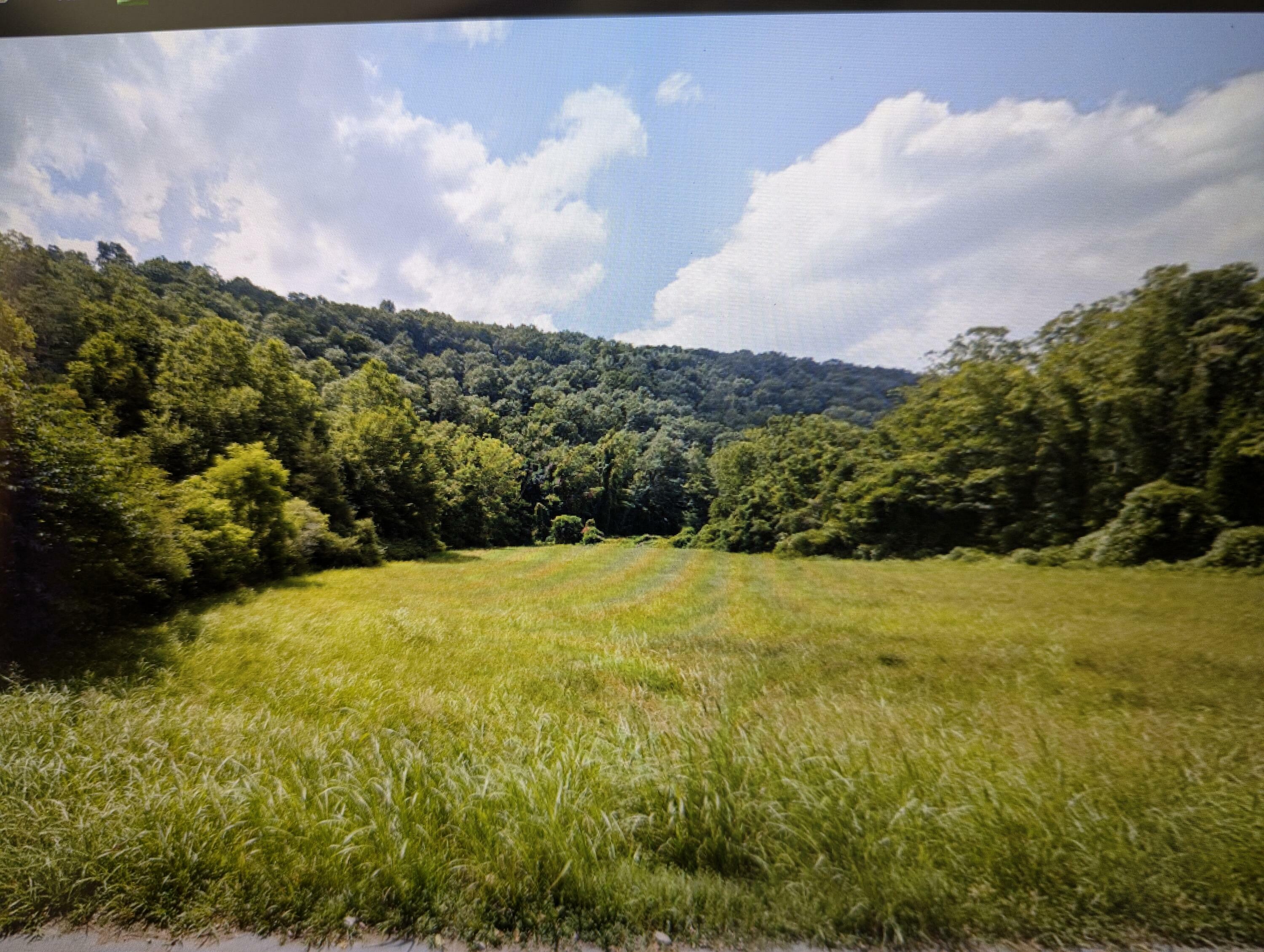 00 Archer Road  Luttrell TN 37779 photo