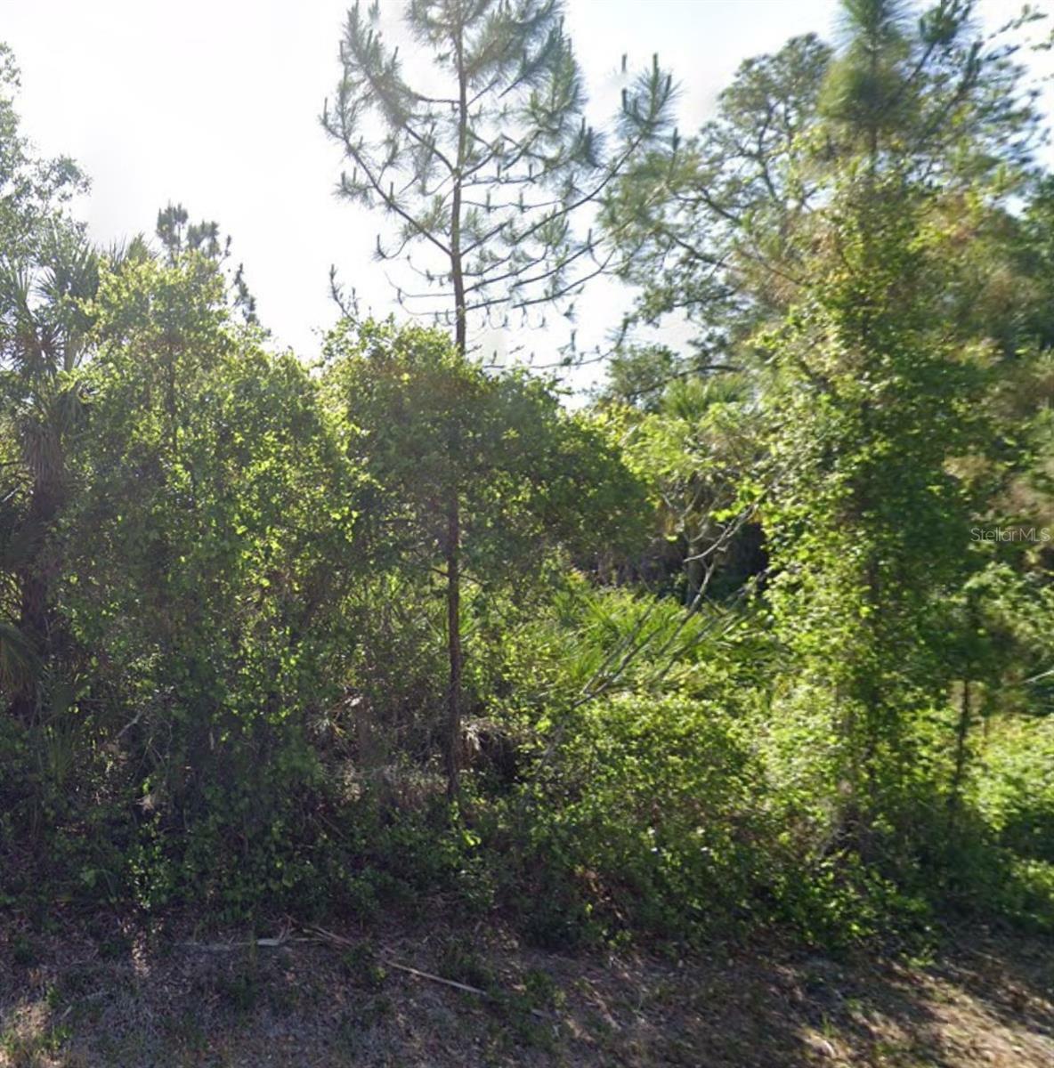 Property Photo:  80 Troutdale Street  FL 33954 