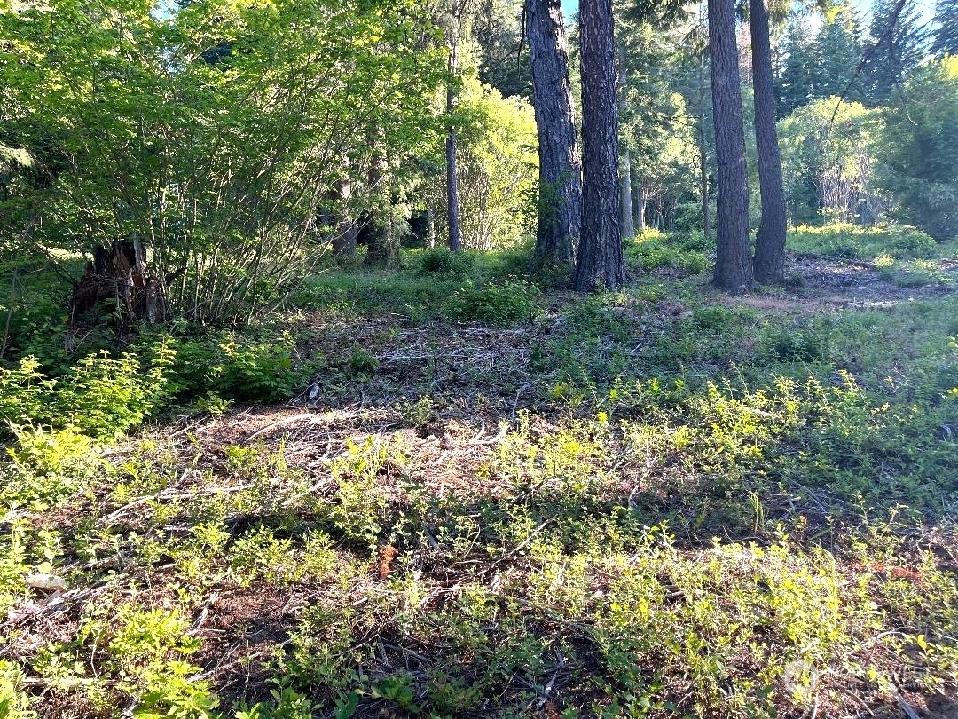 Property Photo:  102 Horvatt Road  WA 98941 