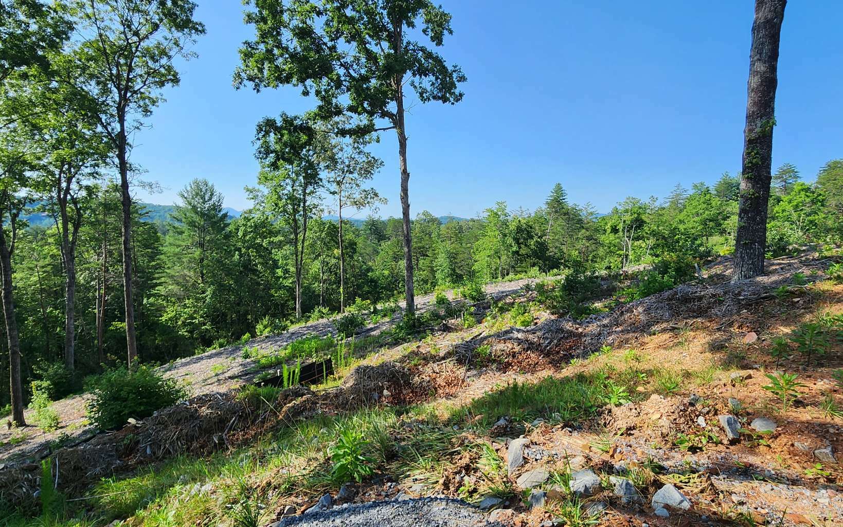 Property Photo:  Lot 18 Mountain Laurel Ridg  GA 30559 