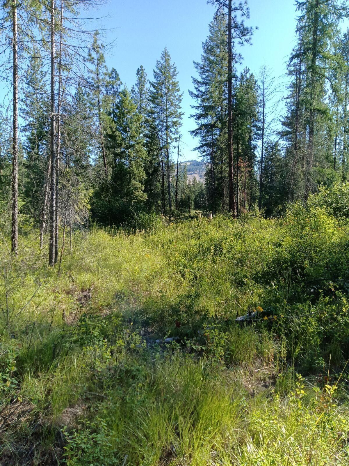 Property Photo:  Xxx Kingsbury Lake Way W  WA 99141 