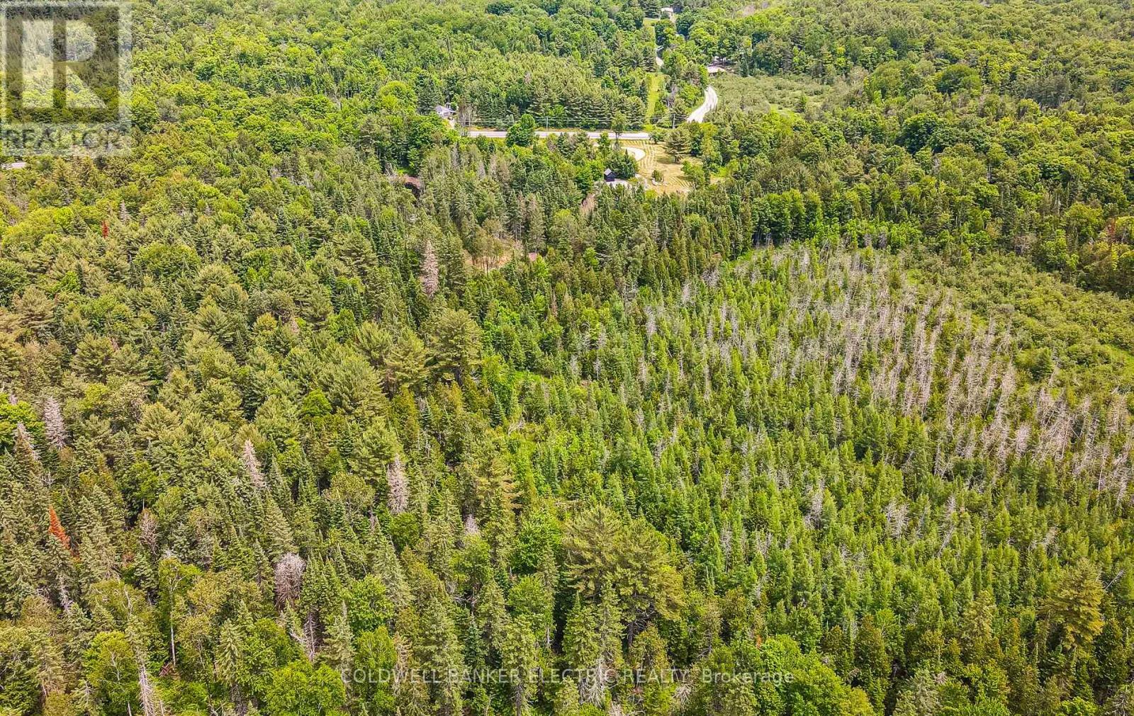 Photo de la propriété:  1609 County Rd 504  ON K0L 1A0 