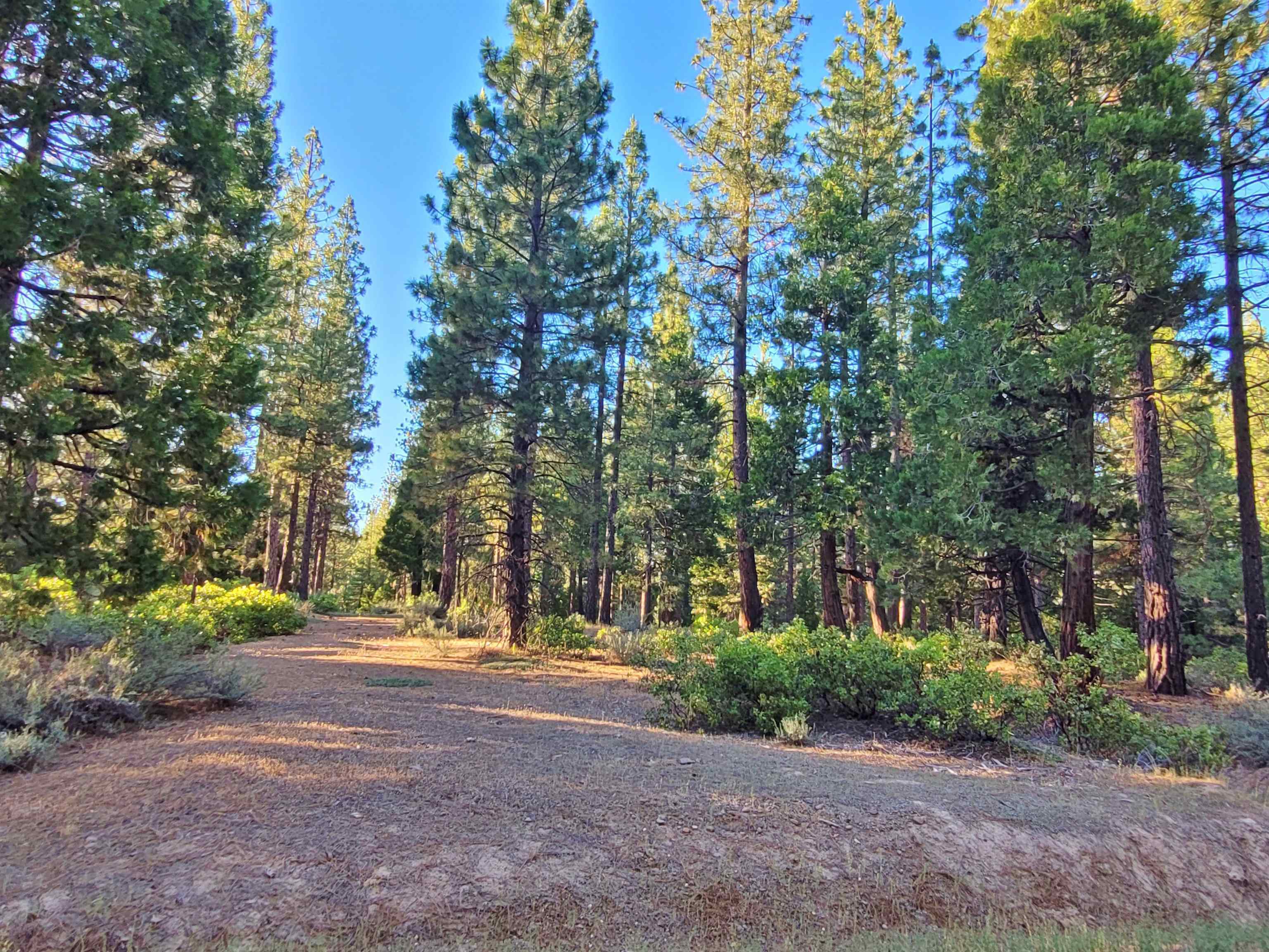 Property Photo:  275 Sage Road  CA 96106 