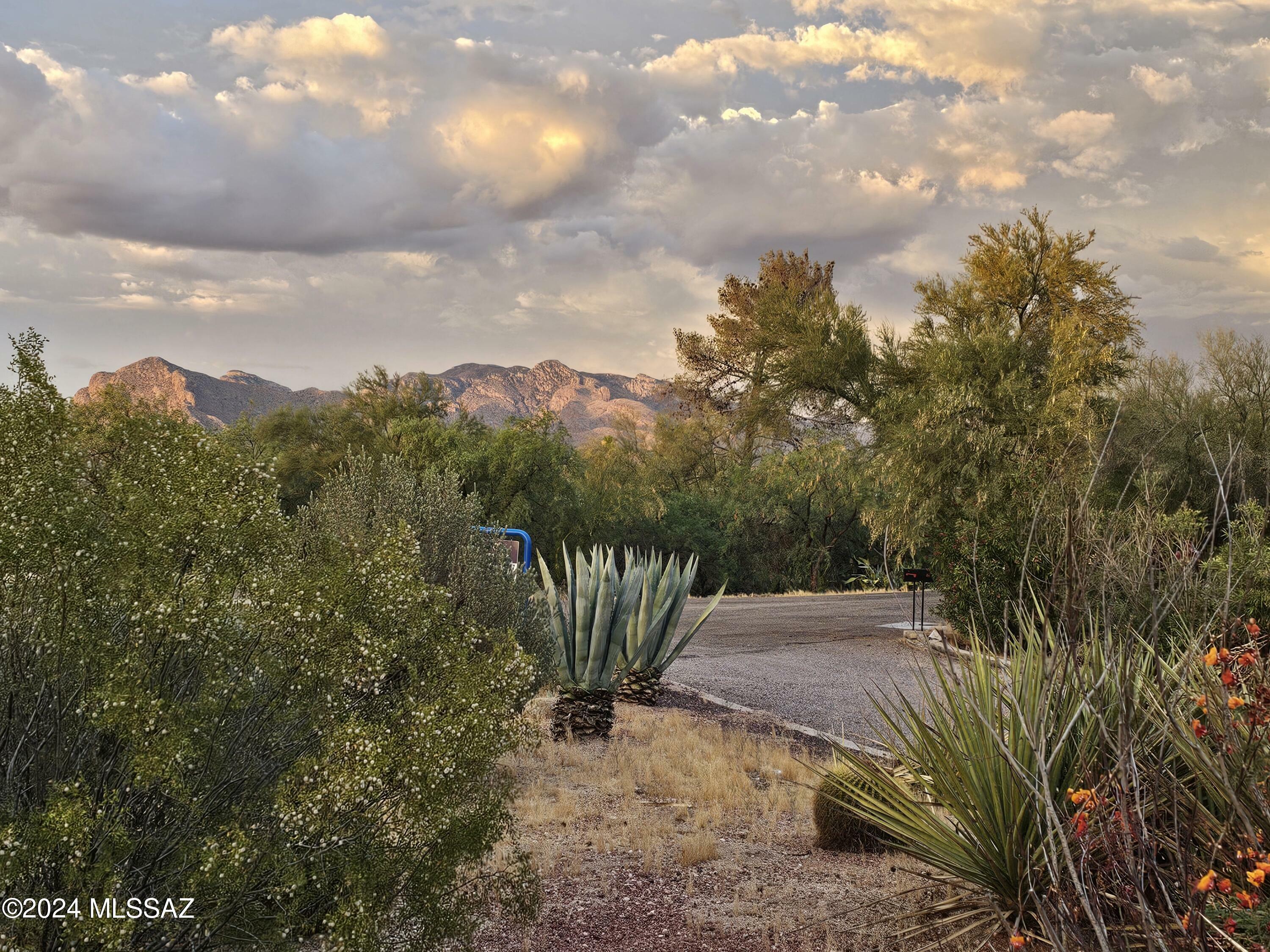 Property Photo:  2032 W Shalimar Way  AZ 85704 