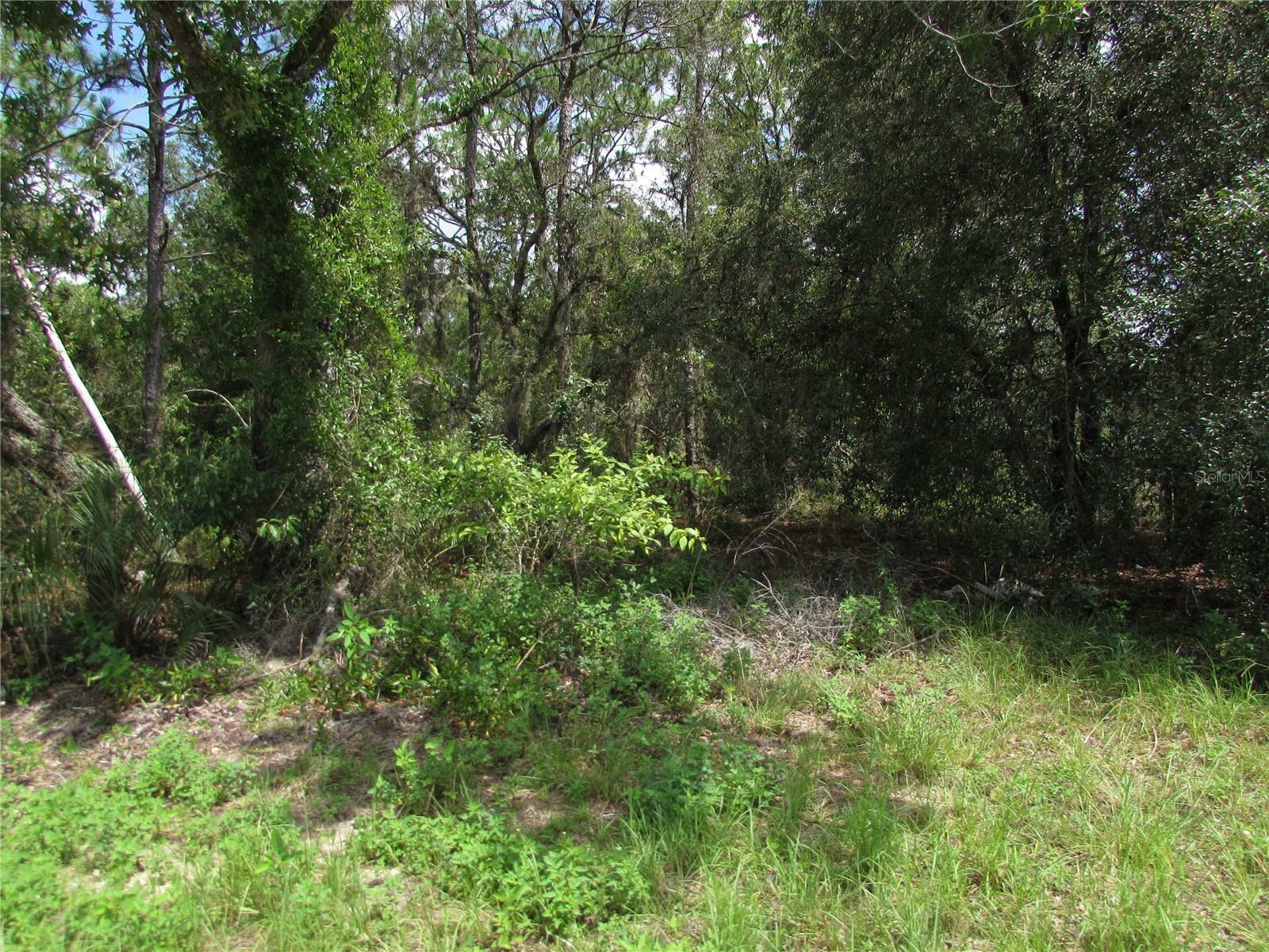 Property Photo:  Lot 35 SW Sea Cliffe Avenue  FL 34431 