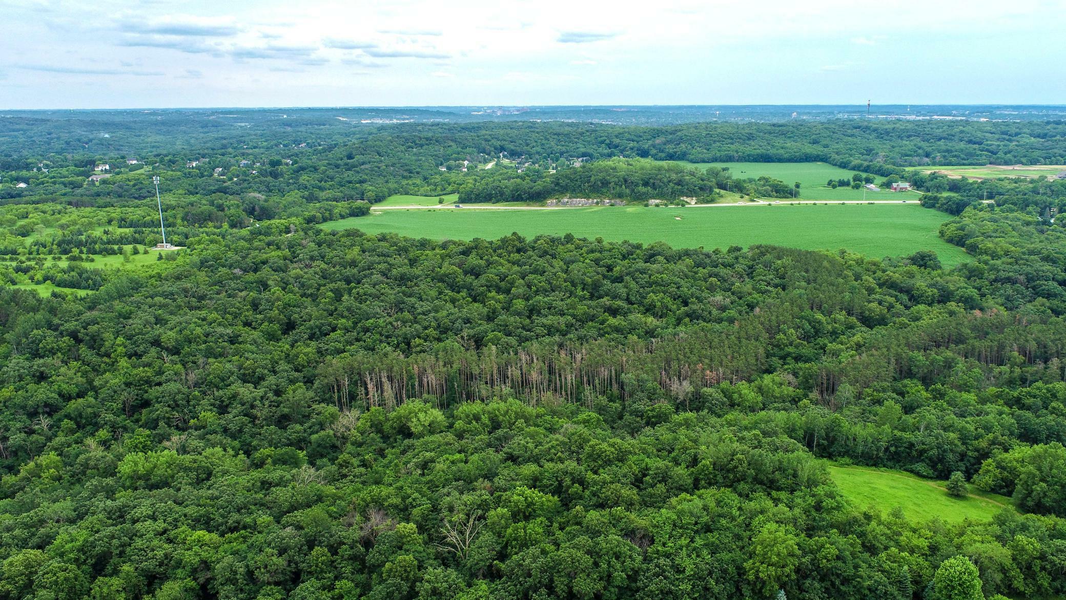 Property Photo: Tbd 75th Street NW MN 55901