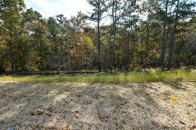 Property Photo:  3069 Turning Creek Trail  GA 30019 