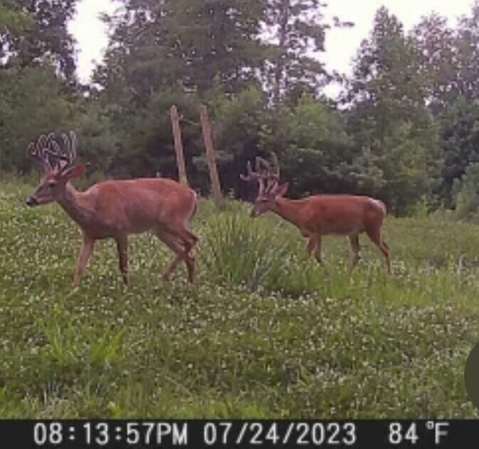 Property Photo: 8319 Public (Tract 1) Road KY 42503