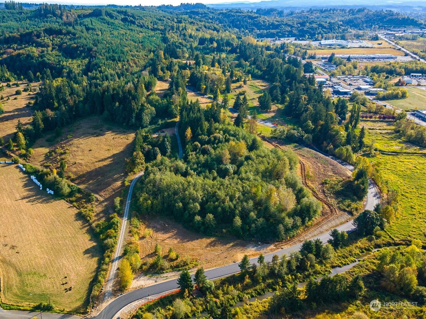 Property Photo: 0 Salzer Creek Drive Lot 4 WA 98531