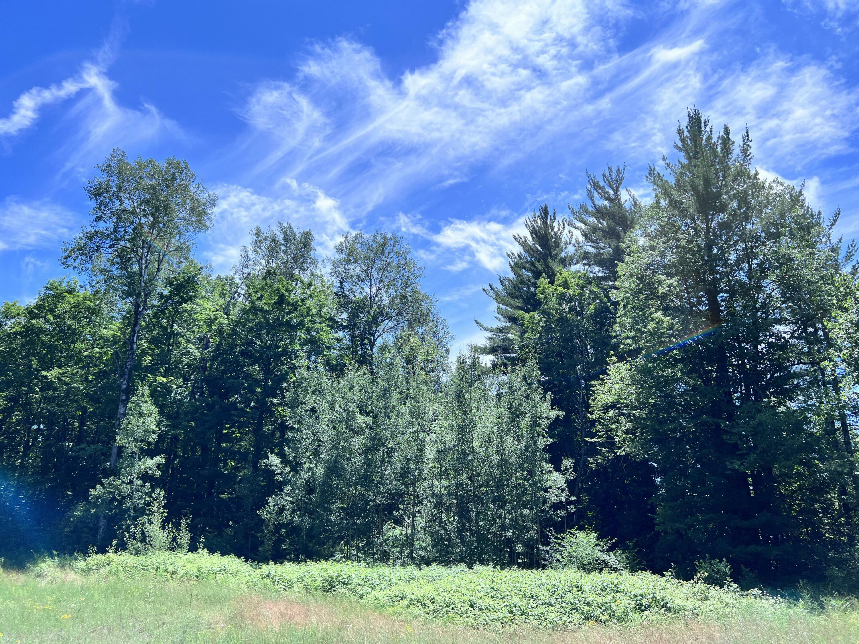 Property Photo:  Tittabawassee Trail 5.67 Acres  MI 49735 