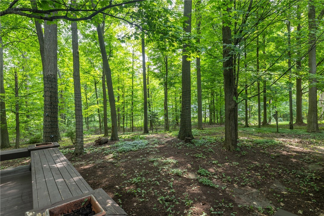 Property Photo:  40 Forest Acres Drive  NY 14850 