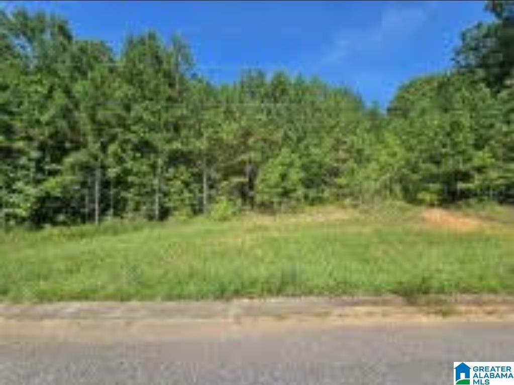 Property Photo:  Lot 6 Woodhaven Drive 6  AL 35128 