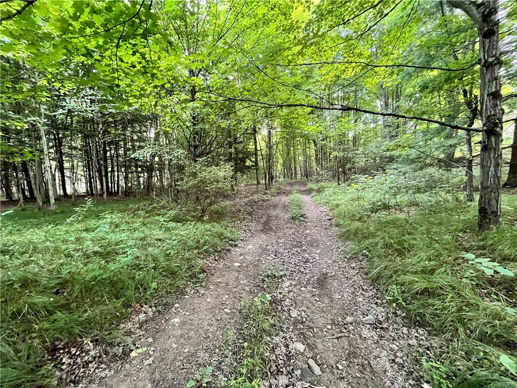 Property Photo:  Lot 1 Greenbush Road  NY 14838 