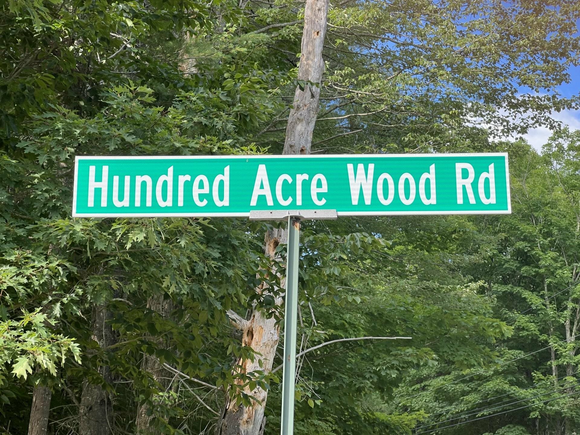 One Hundred Acre Wood Road  Bristol NH 03222 photo
