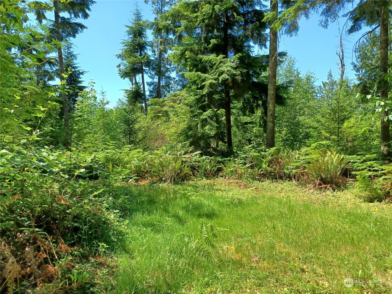 Property Photo:  94 Xx Woods Creek Road  WA 98272 