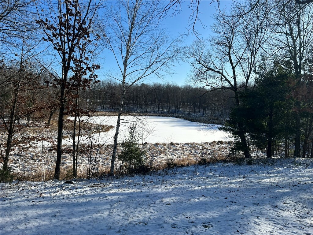 Property Photo: W 8699 Pond View Drive Drive WI 54871