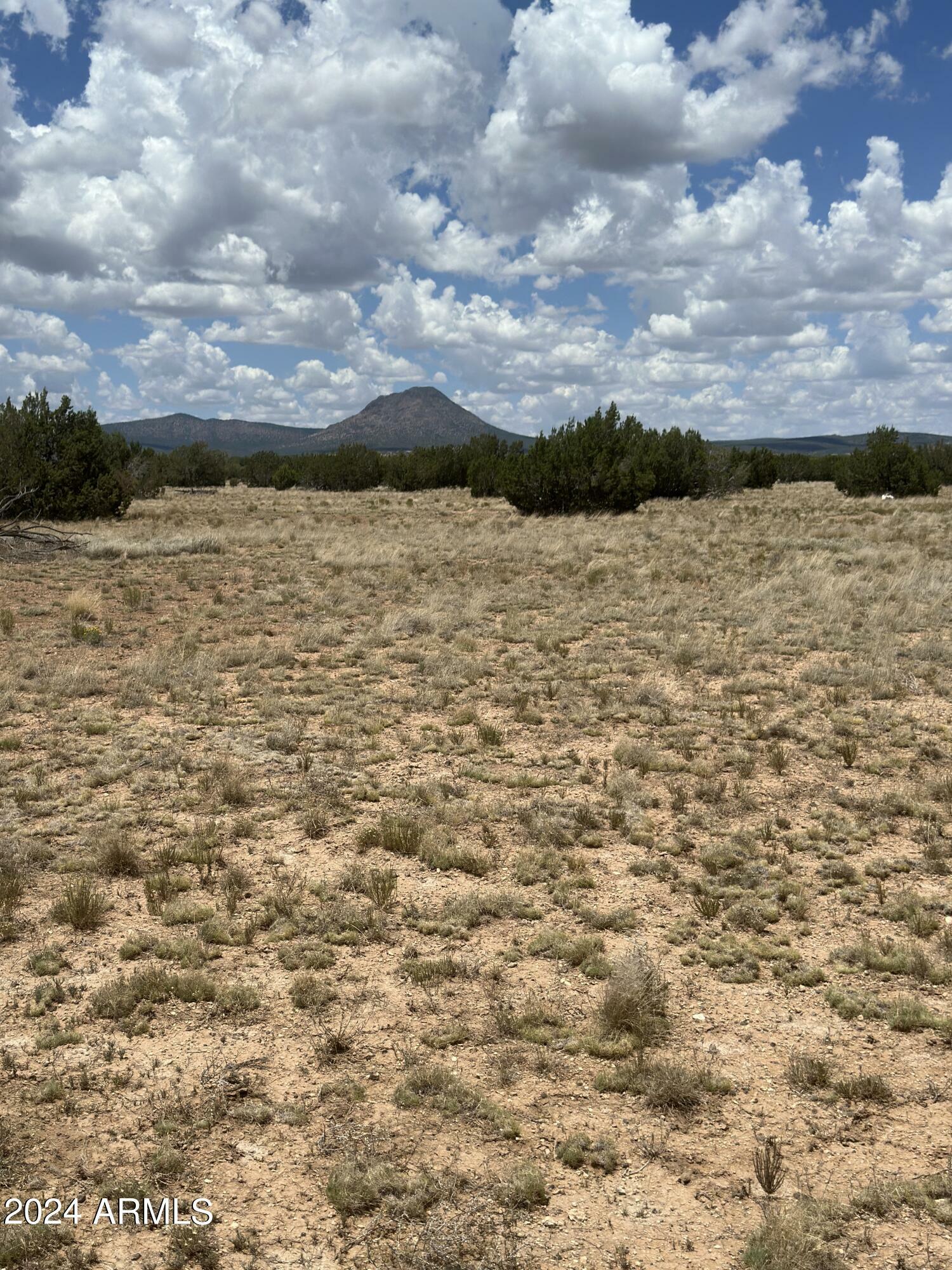 Property Photo:  118D Prairie Dog Road 118D  AZ 86320 