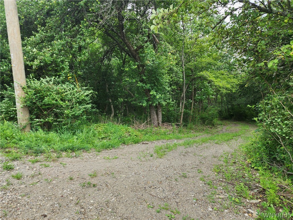 Property Photo:  V/L Hencoop Hollow Road  NY 14731 