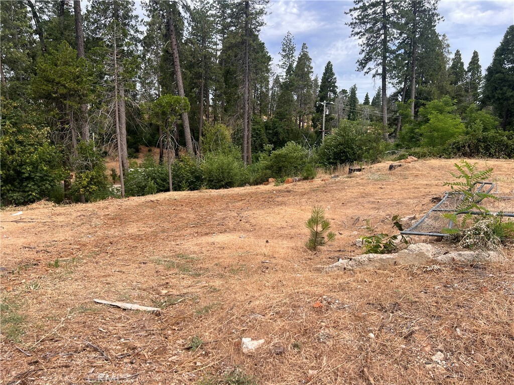 1770 Forest Glen Road  Paradise CA 95969 photo