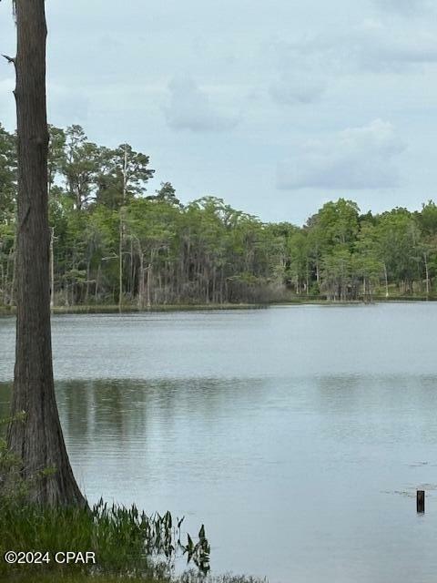 Property Photo:  0000 Paradise Lakes Road  FL 32428 