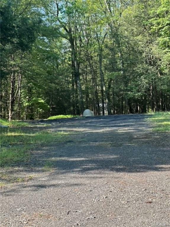 Property Photo:  3 Sawmill Road  NY 12477 