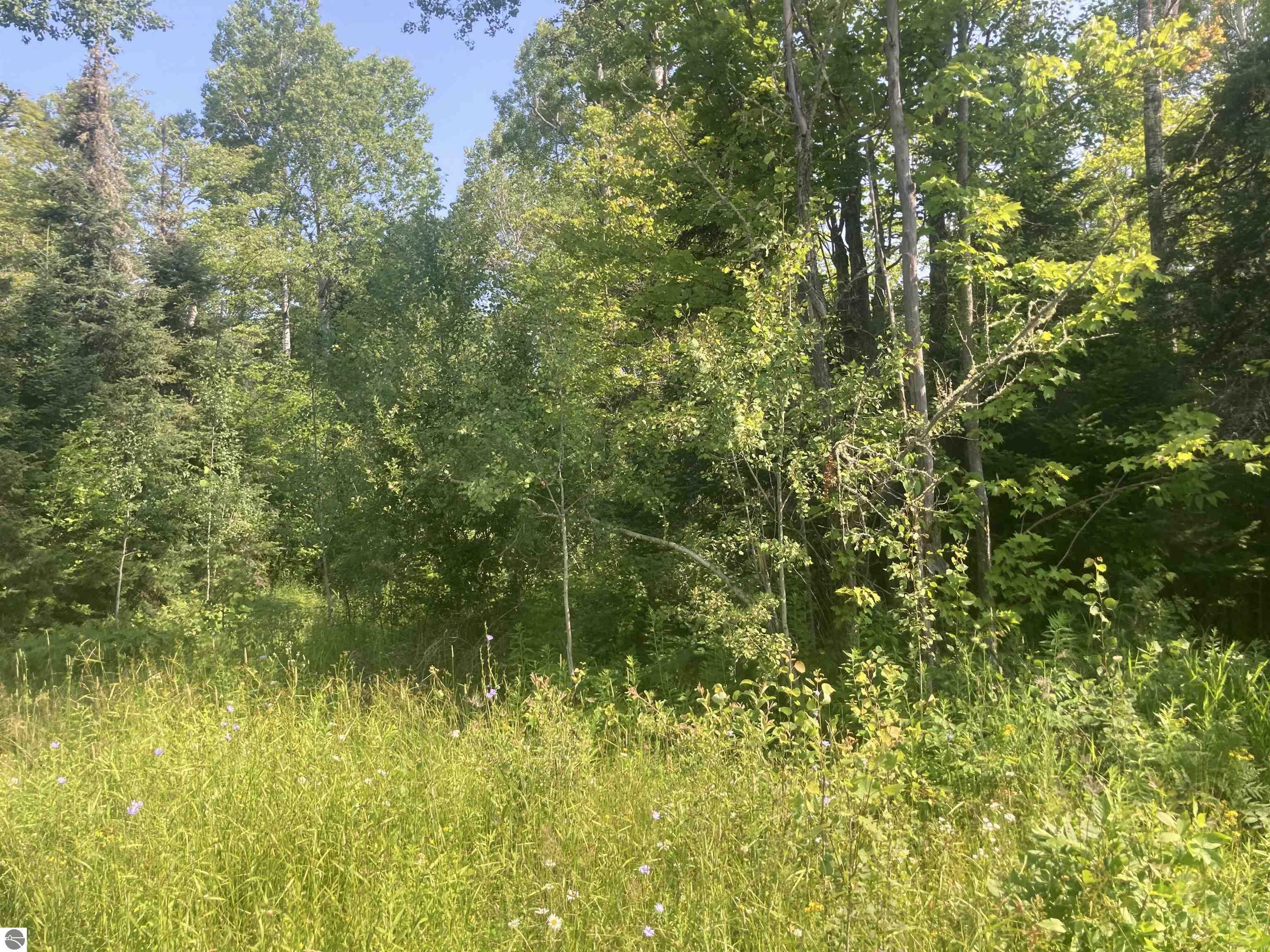 Property Photo:  County Line Road  MI 49952 