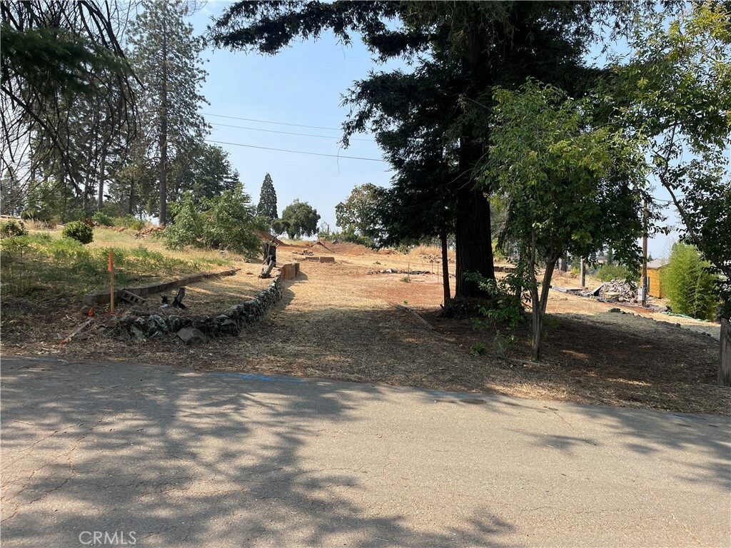 Property Photo:  558 Barbara Way  CA 95969 