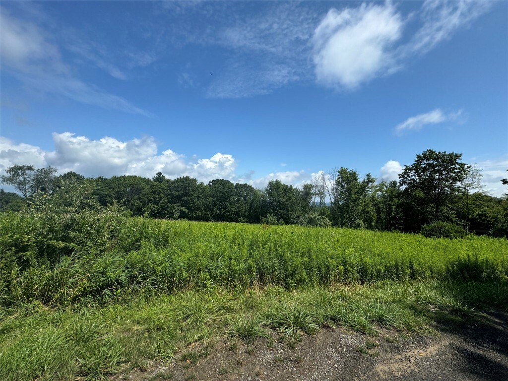 Property Photo:  485 Foster Road  NY 13850 