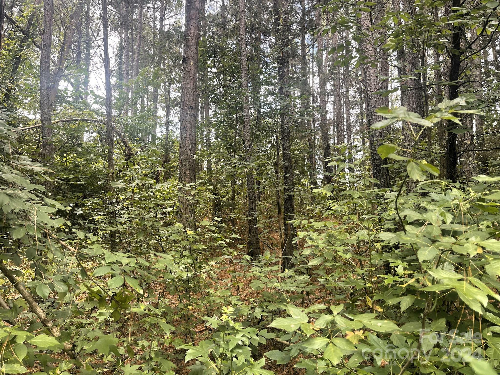 Property Photo:  Lot 3 Cal Kennedy Road  NC 27013 