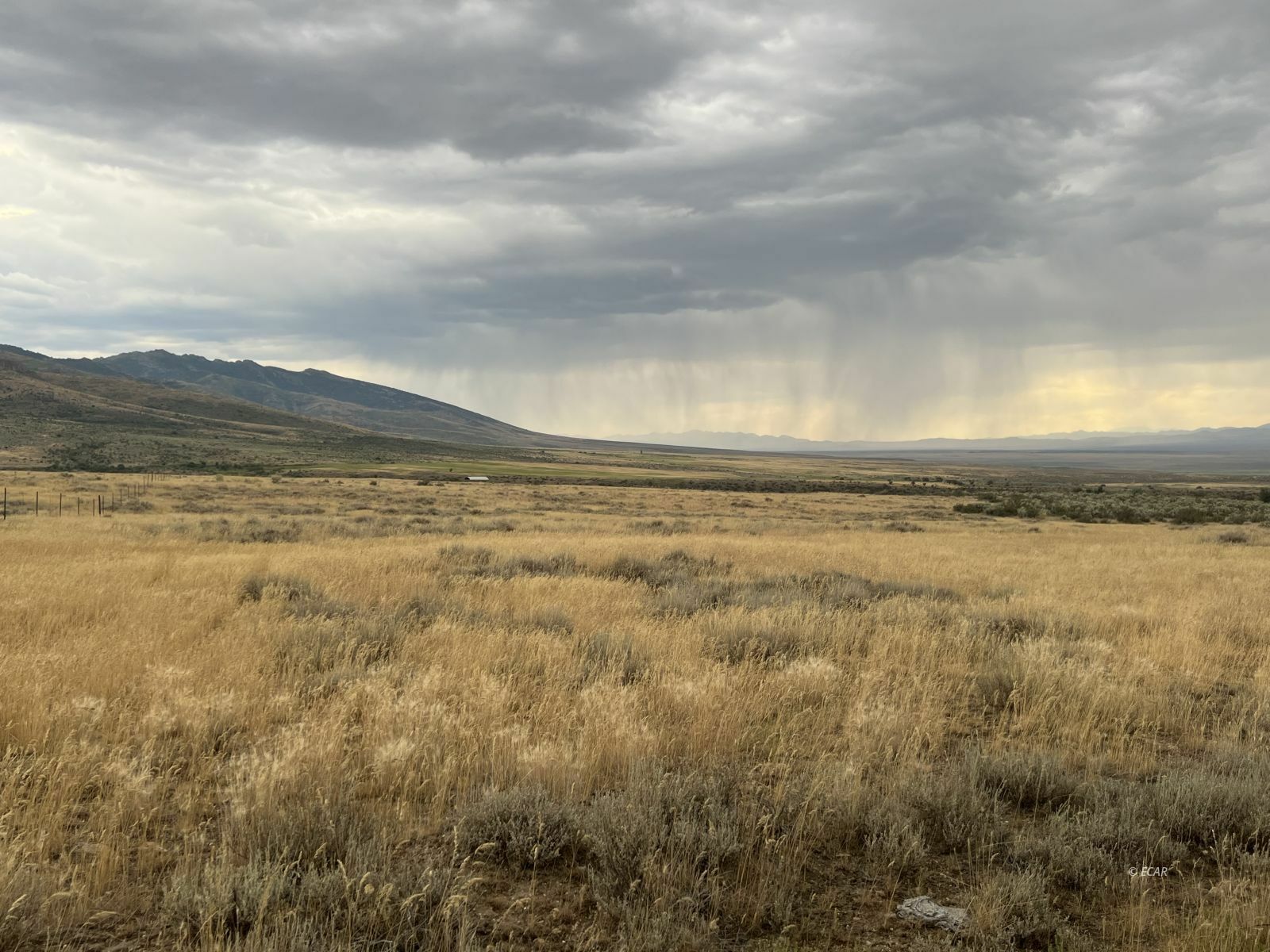 Property Photo:  Smith Creek Ranch  NV 89815 