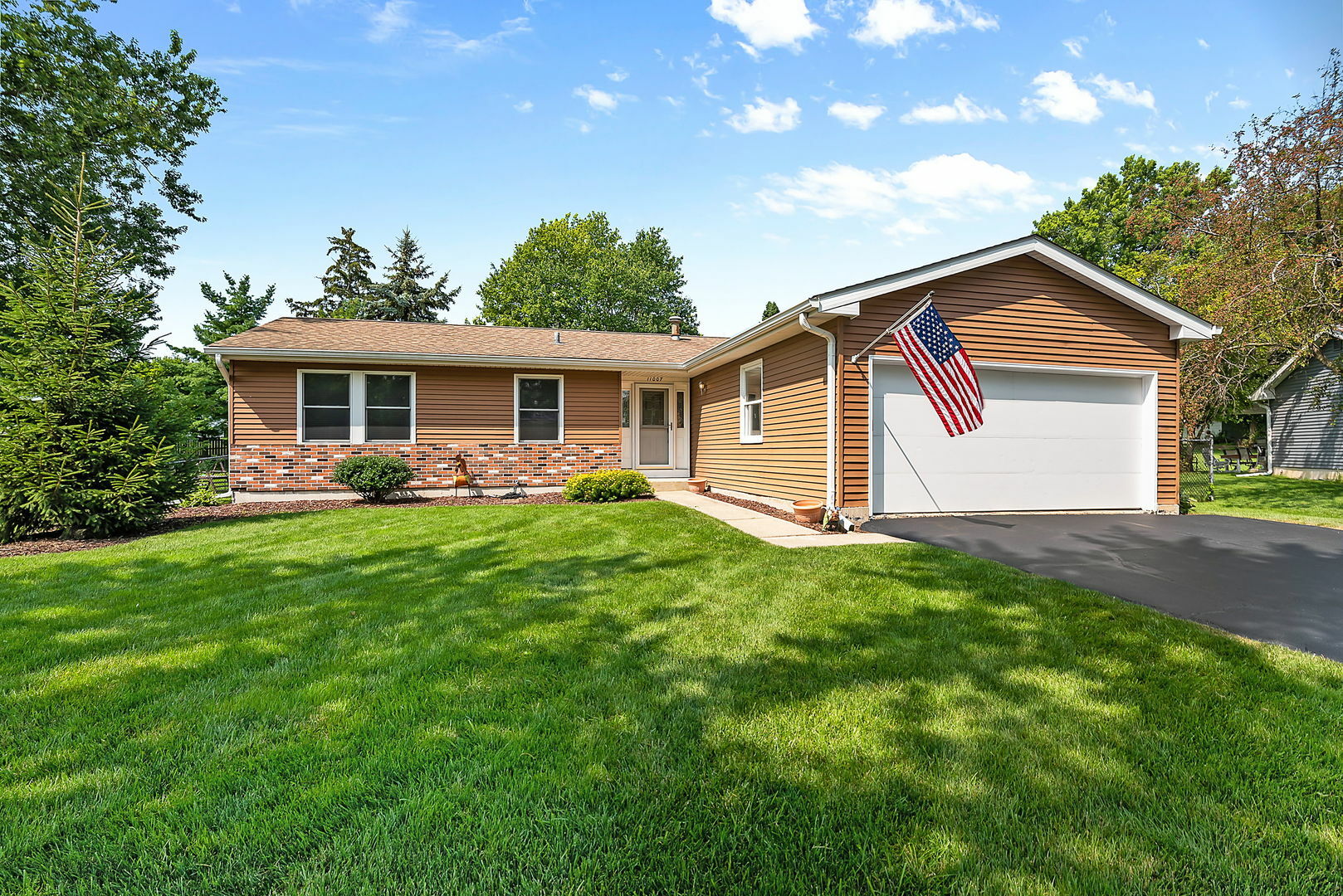 Property Photo: 11007 Janice Drive IL 60142