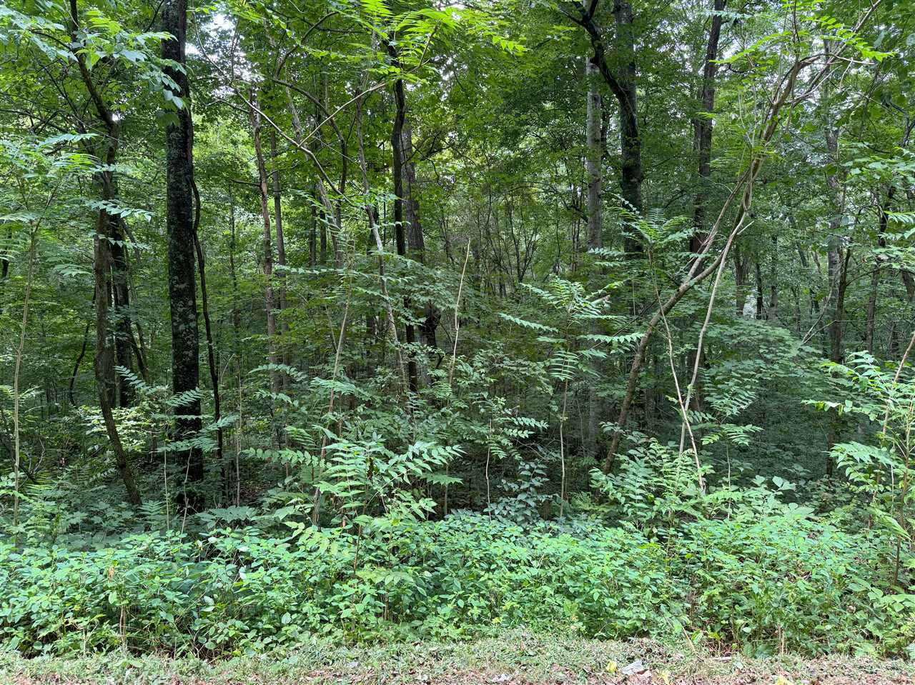 Property Photo:  0 Oak Hill Road  KY 42210 