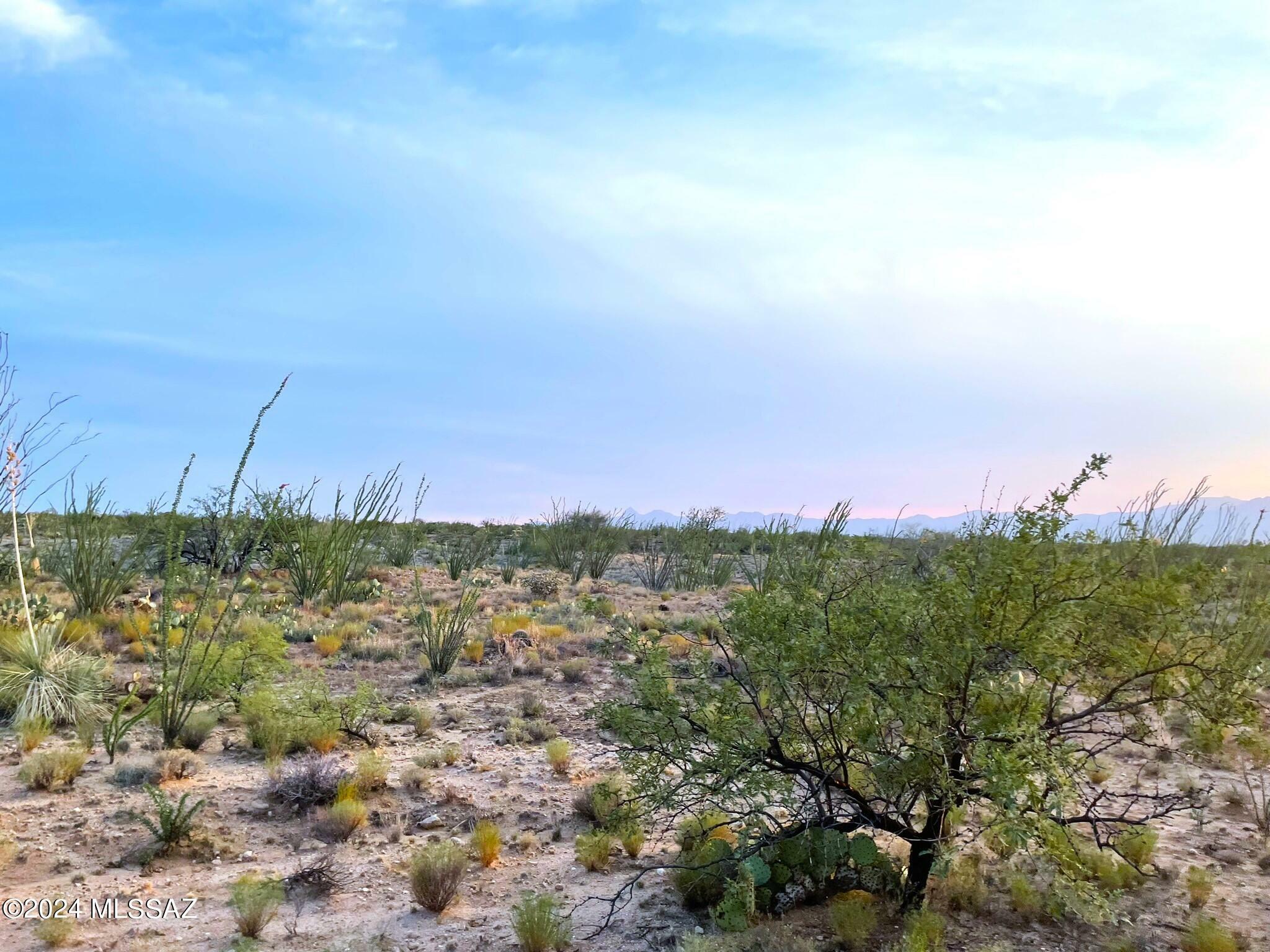 Property Photo:  13900 Rundell Road  AZ 85736 