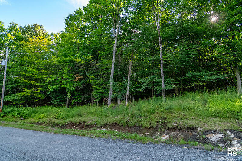 Property Photo: 0 Reservoir Lane NY 12913