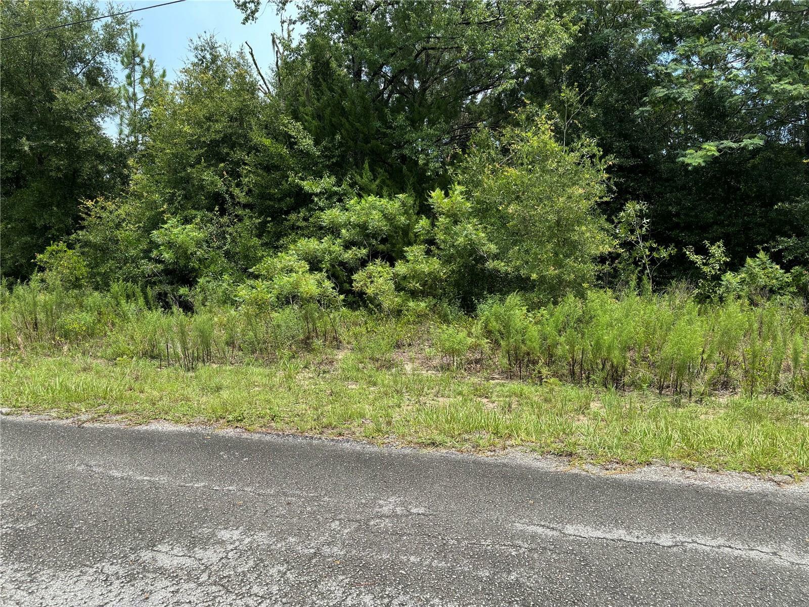 Property Photo:  0 SW Shasta Court  FL 34431 