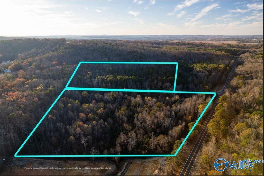 Property Photo:  20 Acres 0 County Highway 41  AL 35952 