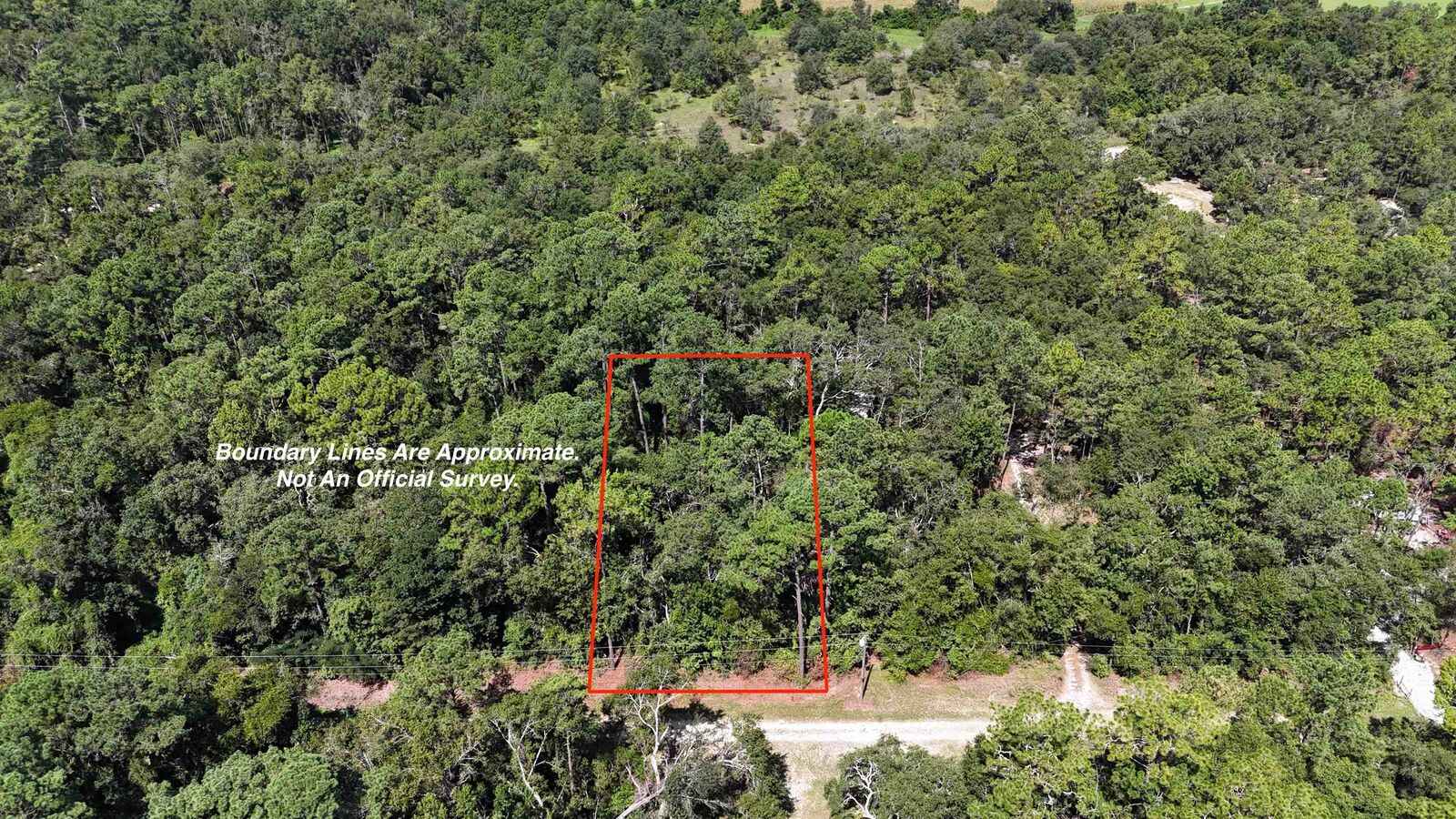 Property Photo:  Vacant NE Chive Terrace  FL 32059 