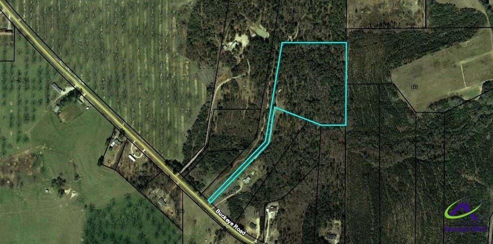 Property Photo:  Buckeye Road Parcel D  GA 31030 