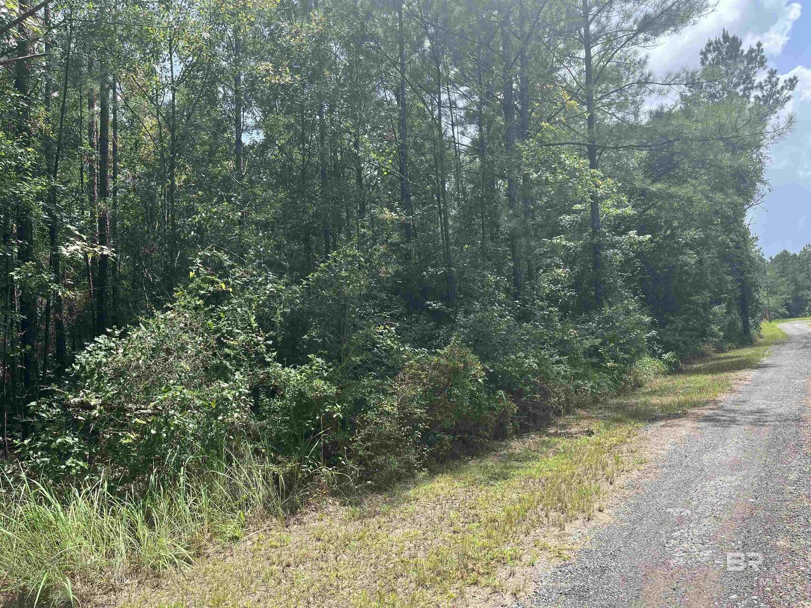 Property Photo:  262249 Whitehouse Fork Road Extension  AL 36507 