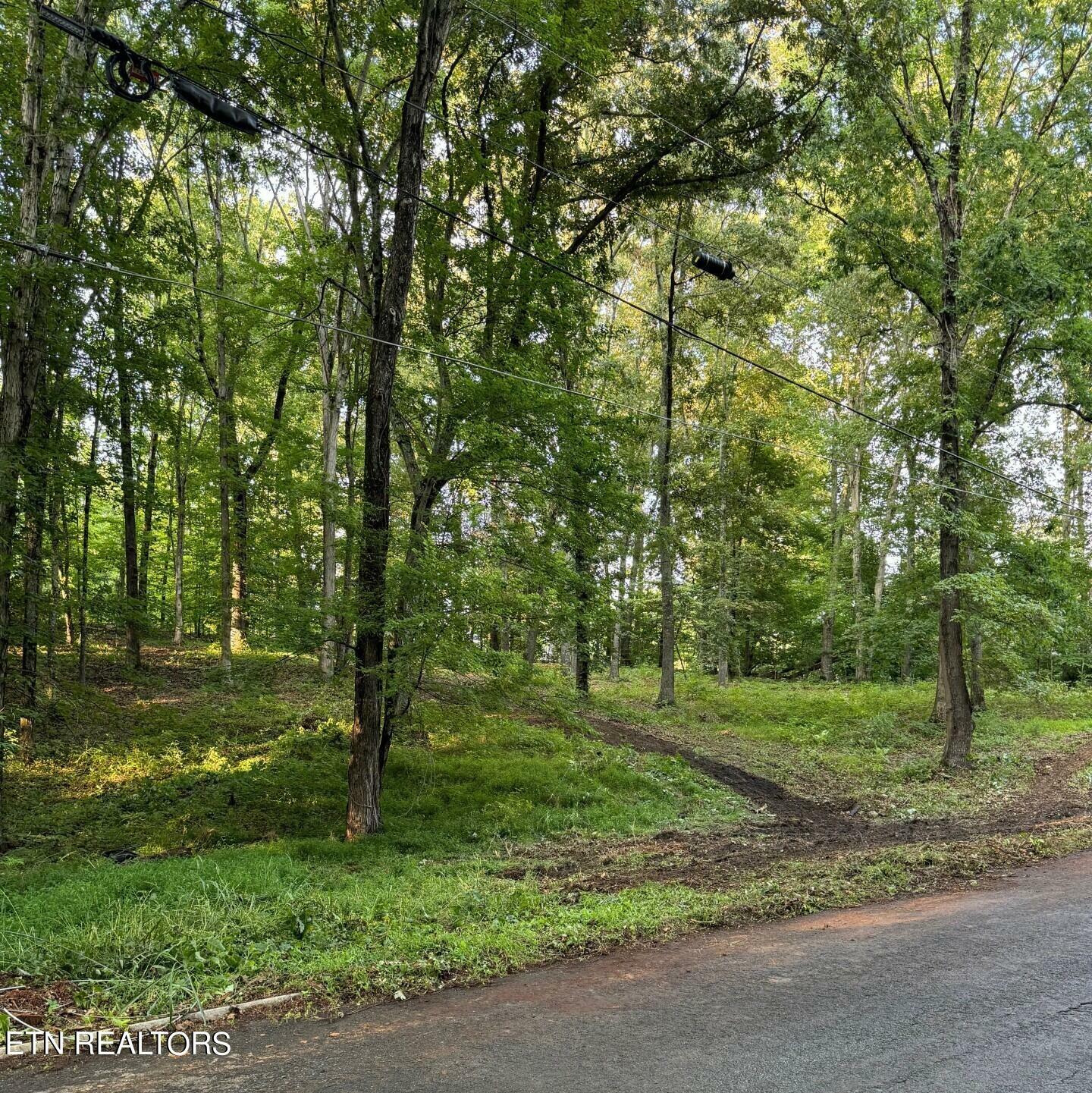 Property Photo:  Lot 70 Ashwood Dr. Drive  TN 37760 