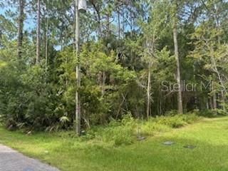 Property Photo:  32 Ullman Place  FL 32164 