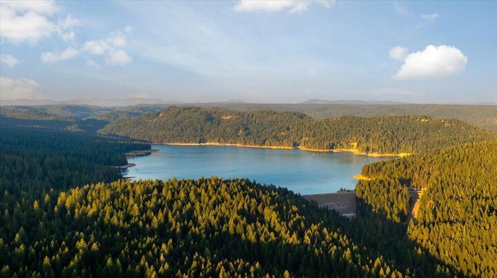 Property Photo: 21293 Scotts Flat Rd. CA 95959