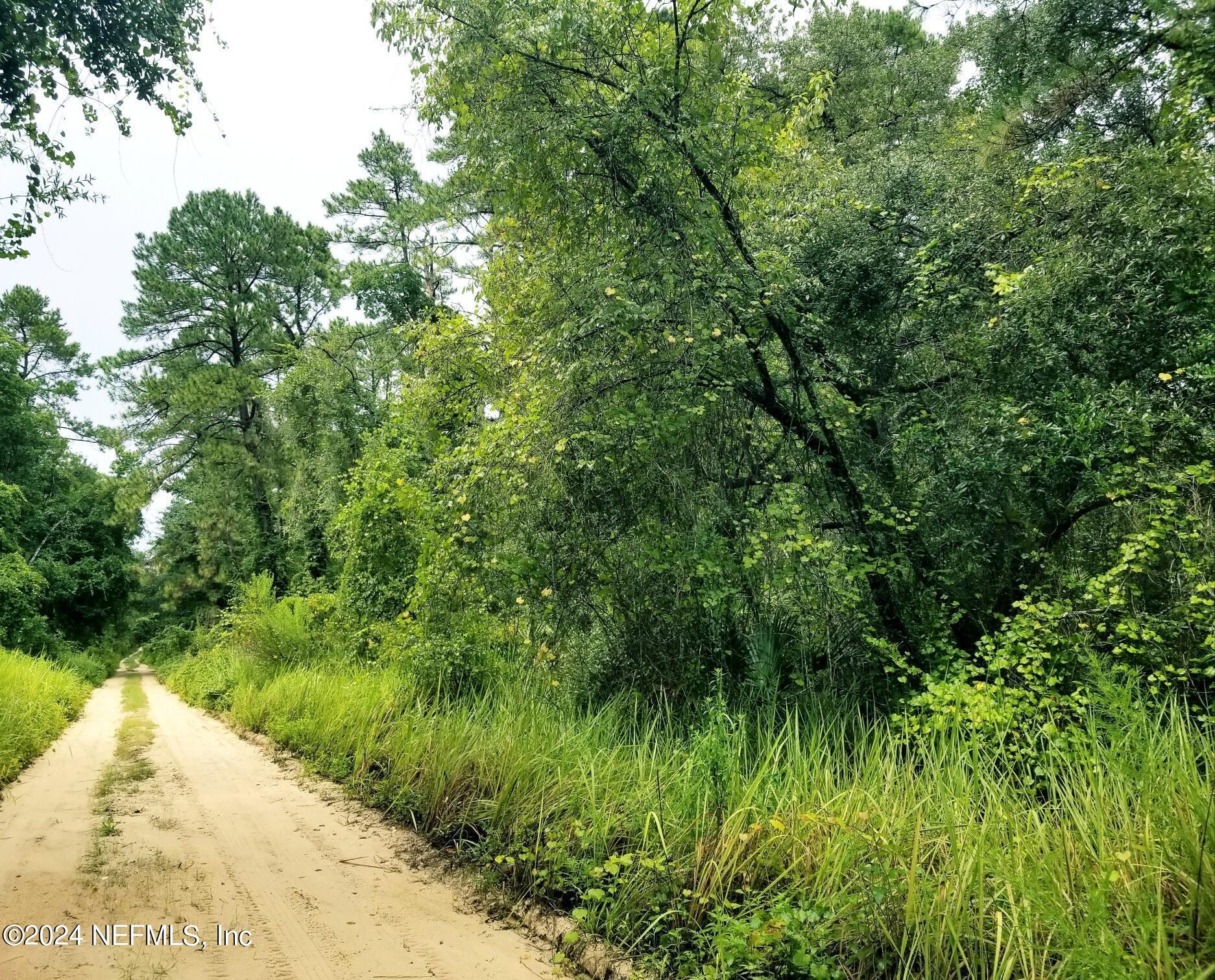 Property Photo: Lot 3 Edgehill Road FL 32189