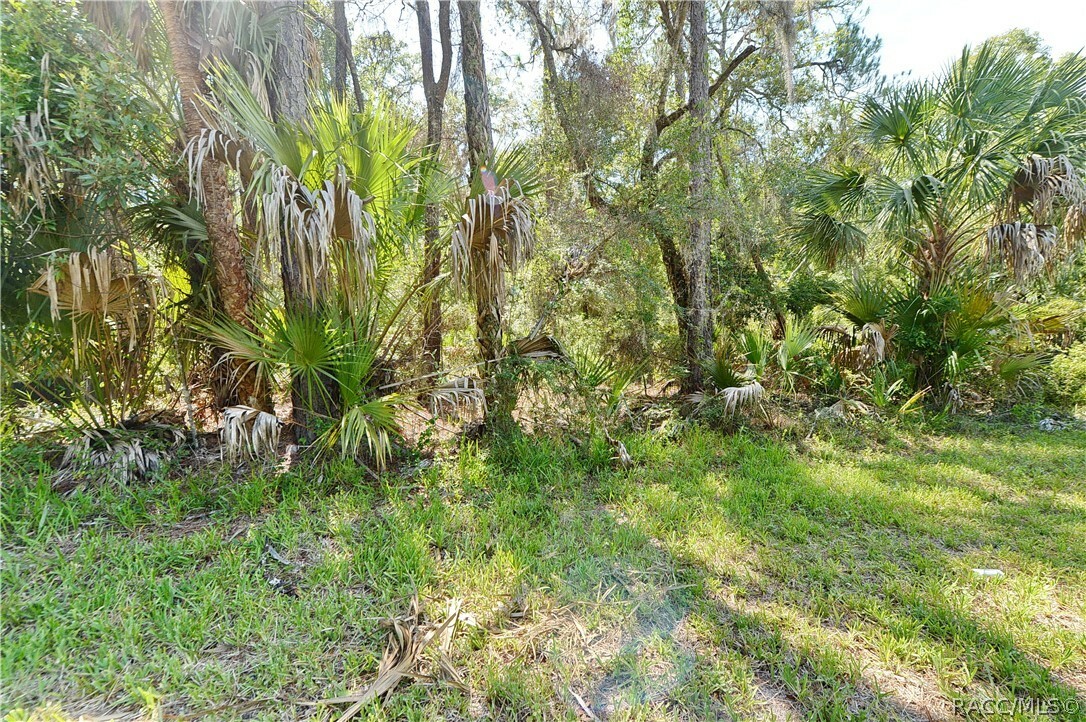 Property Photo:  000 N Tallahassee Road  FL 34428 