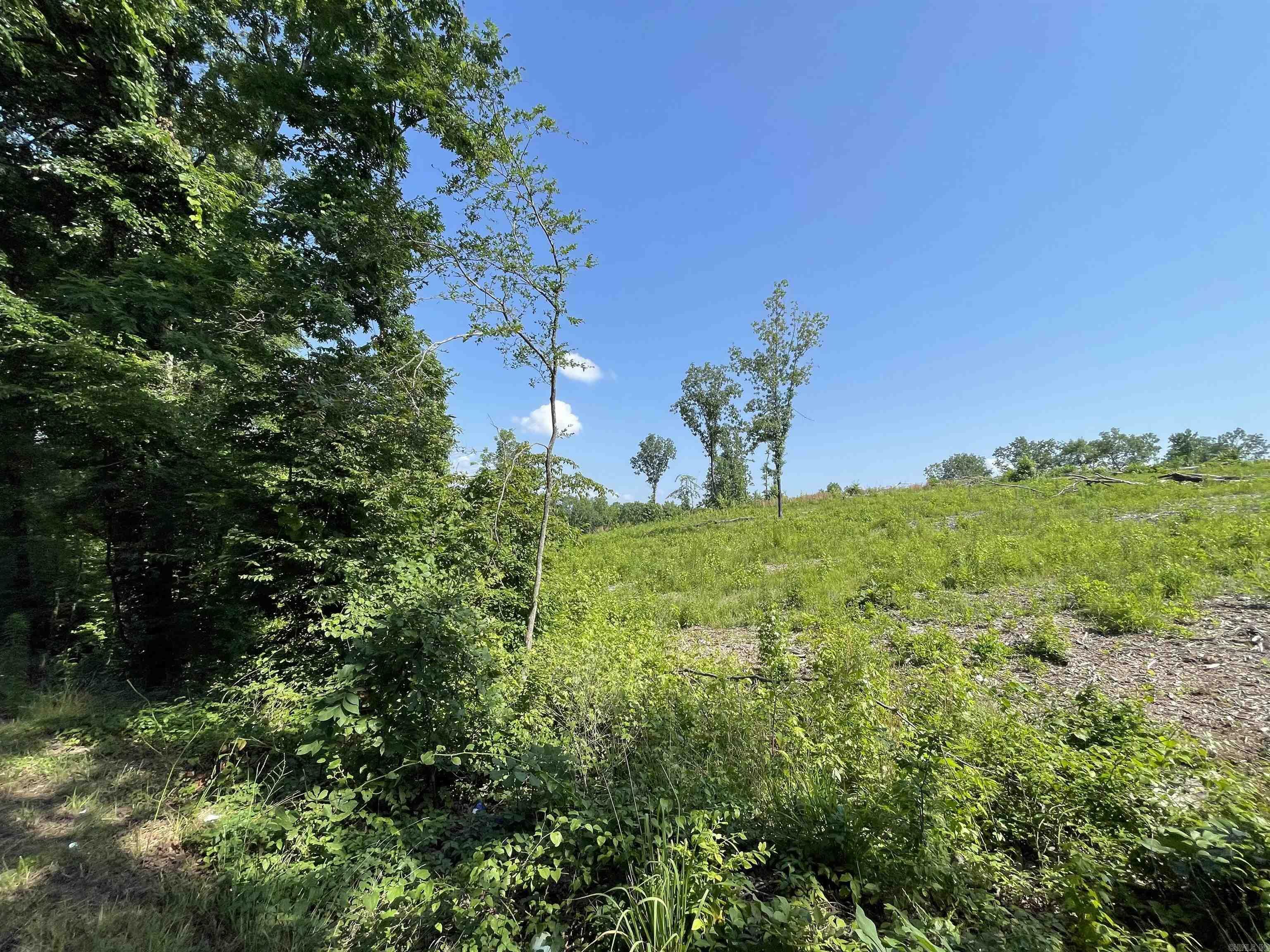 Property Photo:  Lot 4 Highway 5  AR 72019 