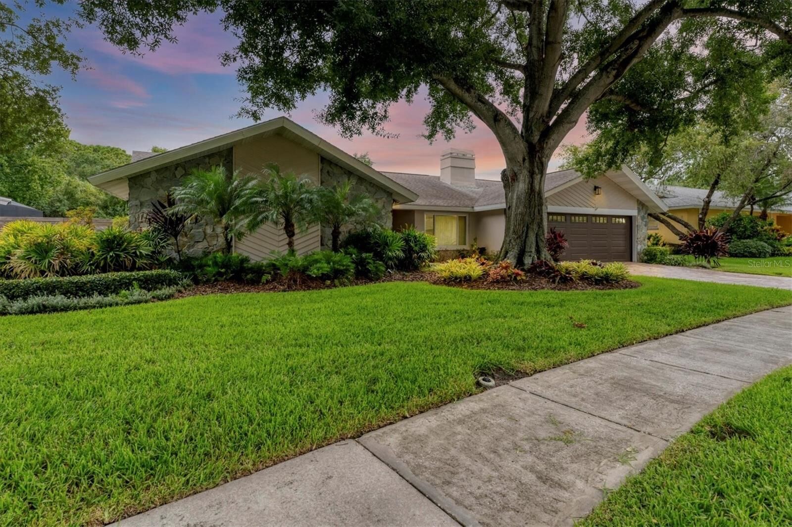Property Photo:  4302 Deepwater Lane  FL 33615 