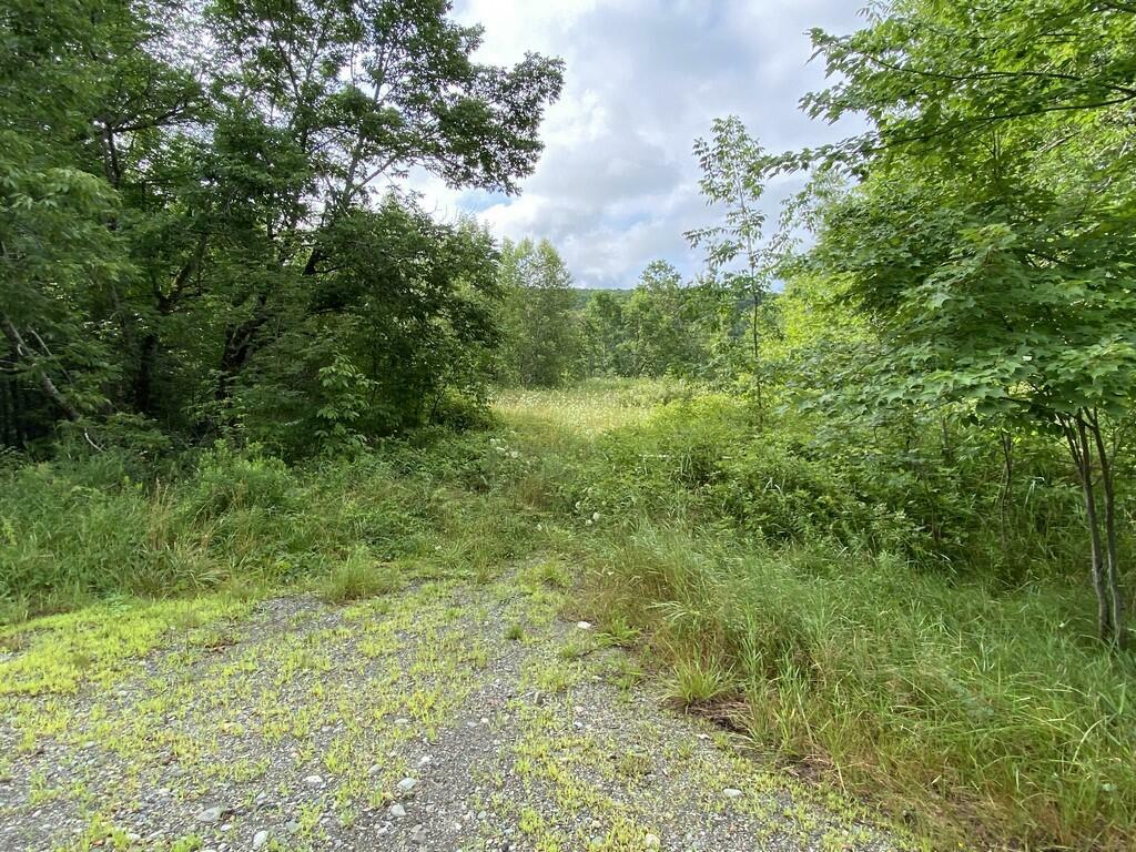 Property Photo:  Tbd (Rte 6) Lee Road  ME 04963 