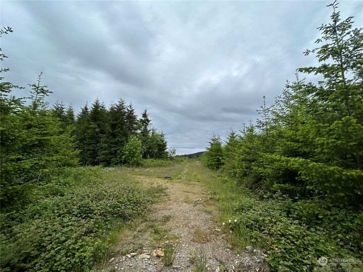 Property Photo:  0 Nka Mt Brynion Road  WA 98626 