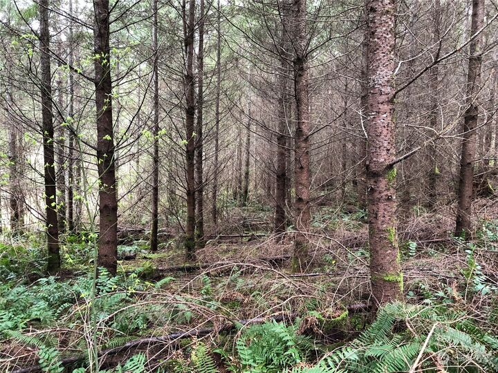 Property Photo:  217 Xx  Thompson Creek Road  WA 98589 